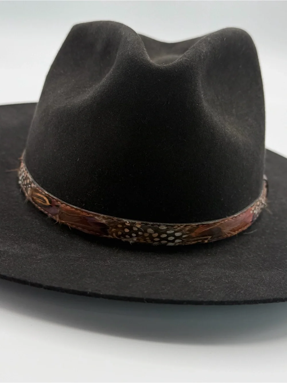Bailey Genuine fur felt Black Wide-Brim Felt hat with leather and feather